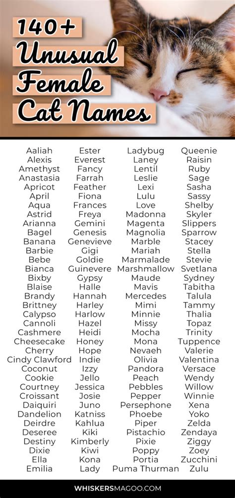 unusual cat names|260 Unique to Rare Cat Names for Boy & Girl Cats .